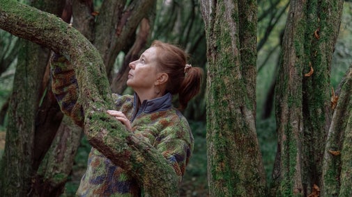 A woman examines a tree branch at Hatfield Frorest, Essex